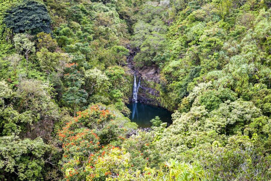 Maui: Small-Group Road to Hāna Sightseeing Tour - Hāna town and the turning point on the route