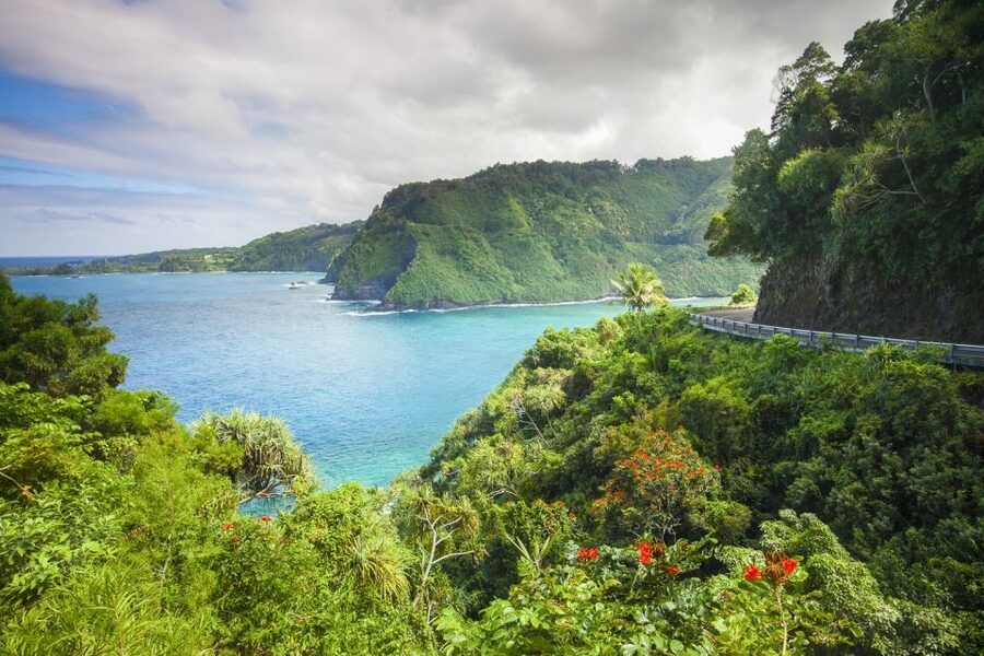 Maui: Small-Group Road to Hāna Sightseeing Tour - A hot BBQ lunch with local flavor
