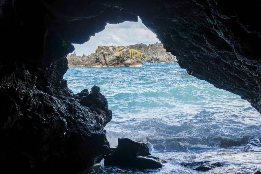 Maui: Small-Group Road to Hāna Sightseeing Tour - Early pickup, Maui fruit, and the first coastal views