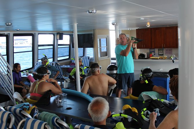 Maui Snorkeling Adventure From Ma'alaea Harbor to Molokini - Turtle Town and the importance of giving turtles room