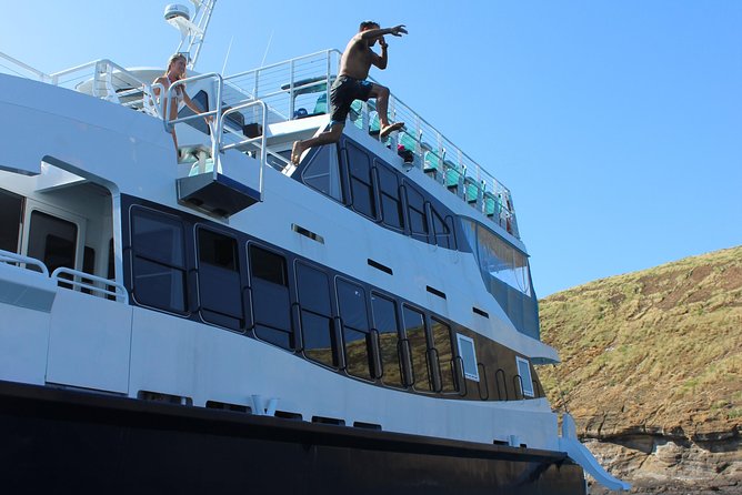 Maui Snorkeling Adventure From Ma'alaea Harbor to Molokini - Safety, swimming ability, and comfort