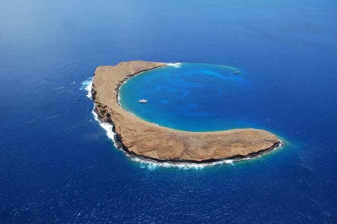 Maui Snorkeling Adventure to Molokini and Turtle Town - Key points at a glance