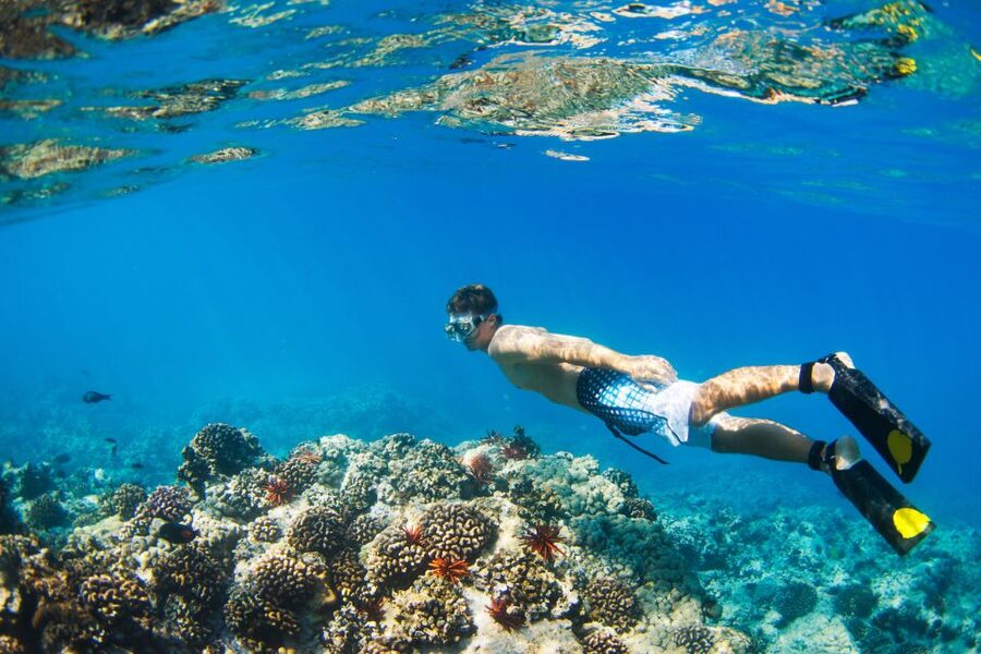 Maui: Turtle Town Kayak and Snorkel Tour - Snorkeling around Turtle Town