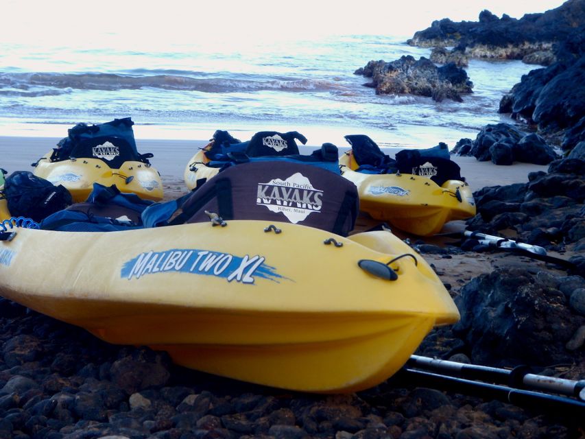 Maui: Turtle Town Kayak and Snorkel Tour - Turtle etiquette and the value of a good guide