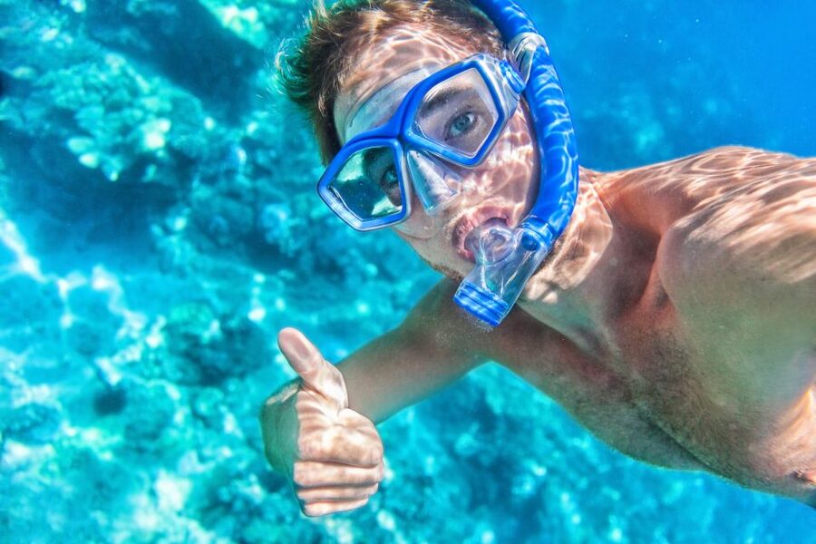 Maui: Turtle Town Kayak and Snorkel Tour - Winter whale watching from a kayak