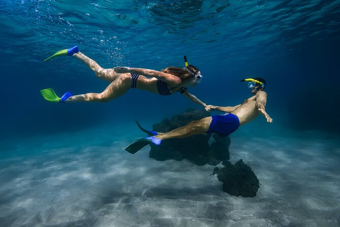 Maui: Turtle Town Snorkel with Photo and Video - Key points at a glance