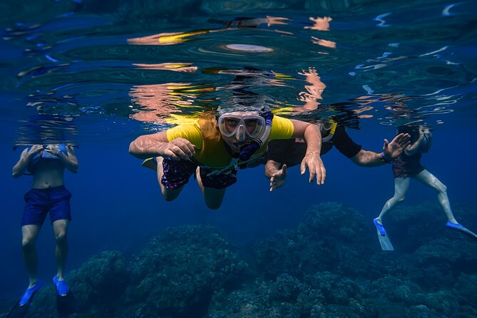 Maui: Turtle Town Snorkel with Photo and Video - How beginner-friendly is it?