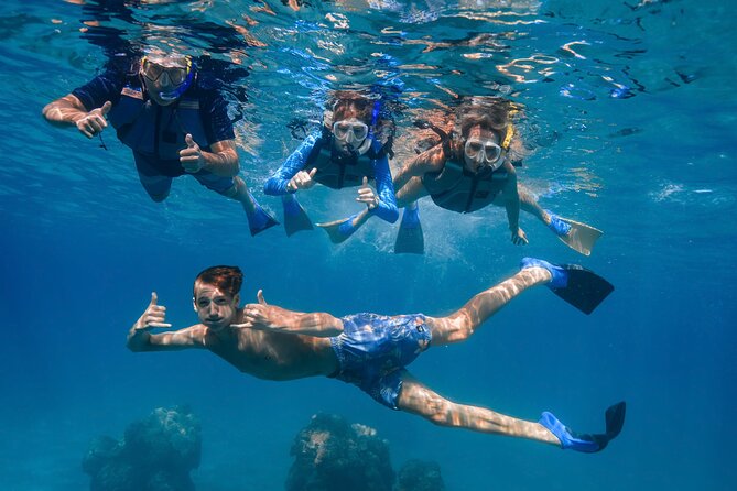 Maui: Turtle Town Snorkel with Photo and Video - Is $129 a fair price?