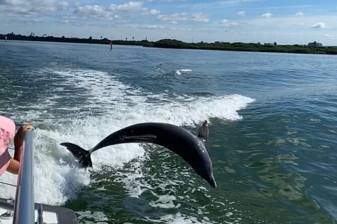 Mega Bite Dolphin Tour Boat in Clearwater Beach - Is $28 a good value?