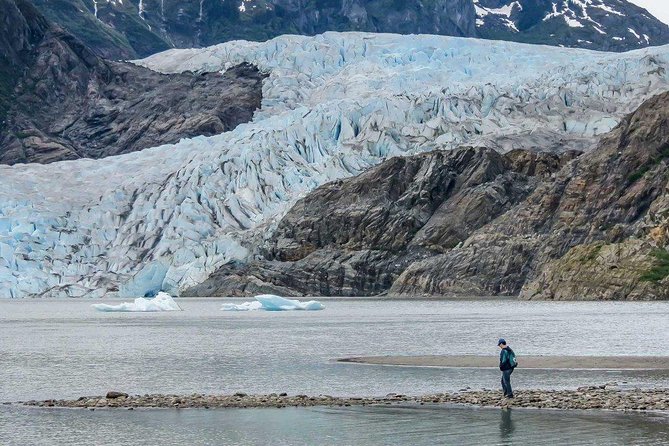 Mendenhall Glacier Visitor Center and Ultimate Whale Watch Combo - Group size, comfort, and walking
