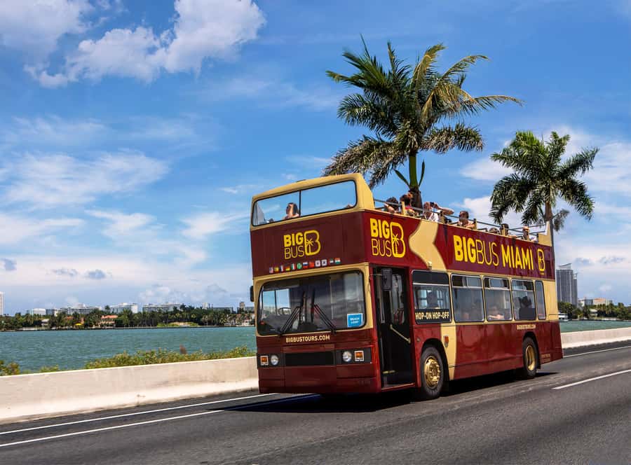 Miami: Everglades Experience, Bay Cruise & Open-Top Bus Tour - Who will get the most from this package