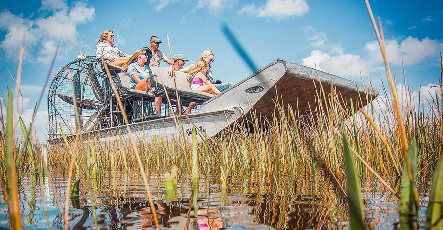 Miami: Everglades National Park Airboat Tour & Wildlife Show - What you may see in the sawgrass