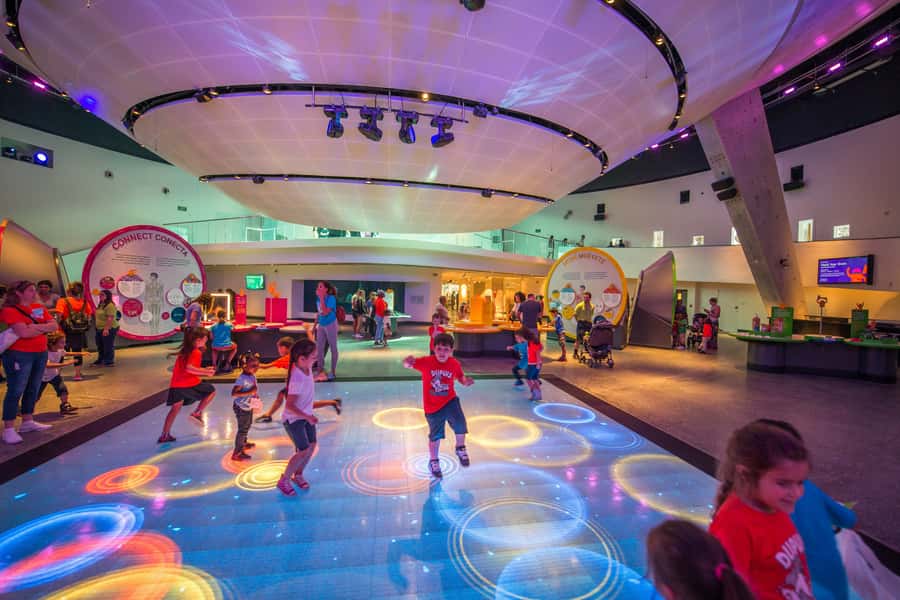 Miami: Frost Museum of Science and Planetarium Entry Ticket - Key points at a glance