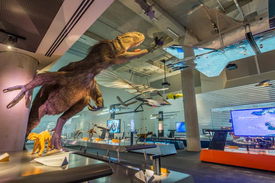 Miami: Frost Museum of Science and Planetarium Entry Ticket - Touch a stingray, then make time for the insects