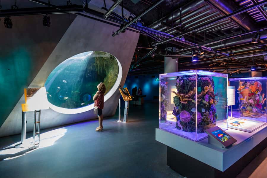 Miami: Frost Museum of Science and Planetarium Entry Ticket - Meet a feathered dinosaur and follow the path to space