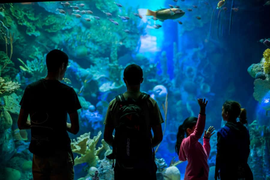 Miami: Frost Museum of Science and Planetarium Entry Ticket - What can make the visit less smooth?
