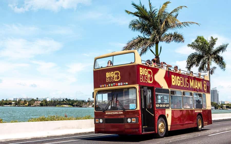 Miami: Hop-on Hop-off Open-top Bus Tour and Optional Cruise - Bayside Marketplace and the starting point