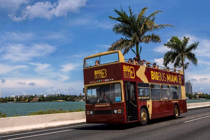 Miami: Hop-on Hop-off Tour + Cruise & Free 1-Hour Bike Rental - The Design District and Wynwood deliver the strongest street-level stops