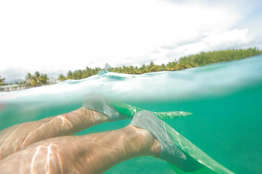 Miami: Key West Dolphin Watch or Snorkel Boat with pickup - The 90-minute glass-bottom boat ride