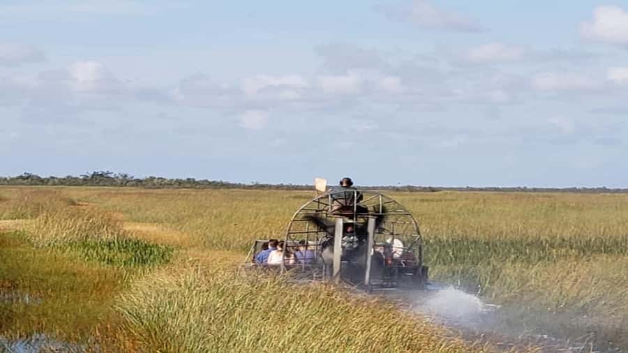 Miami: Original Everglades Airboat Tour & Interpretive area - Jojo and the interpretive animal area