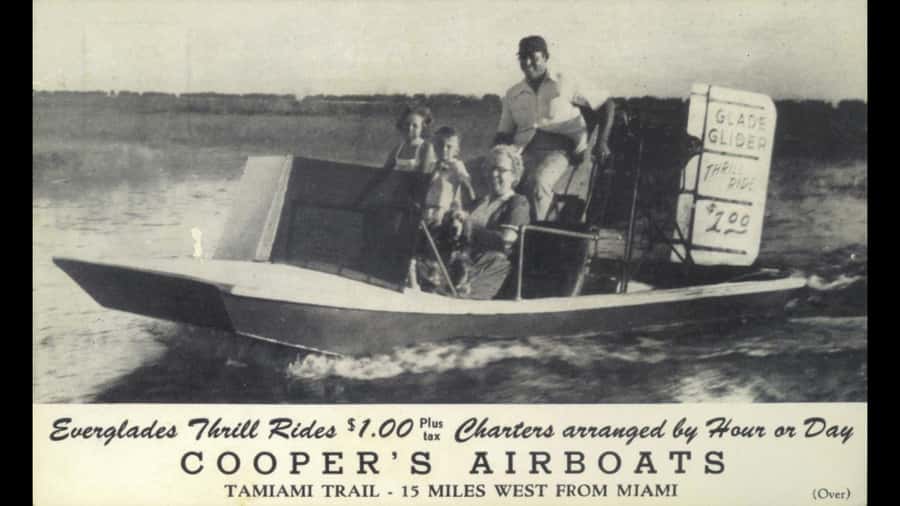 Miami: Original Everglades Airboat Tour & Interpretive area - How good are the wildlife sightings?
