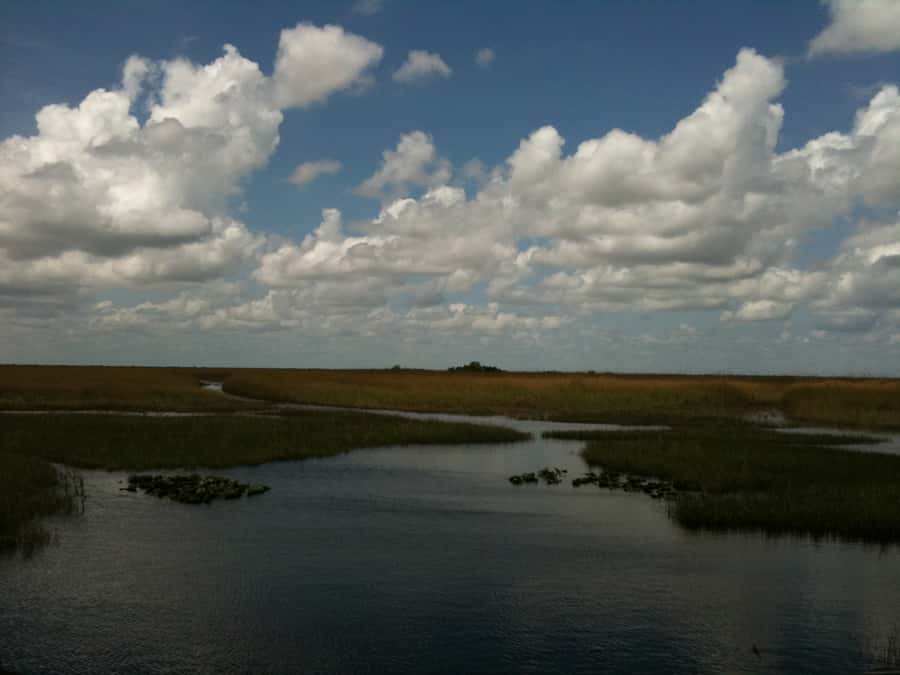 Miami: Original Everglades Airboat Tour & Interpretive area - Across the River of Grass by airboat