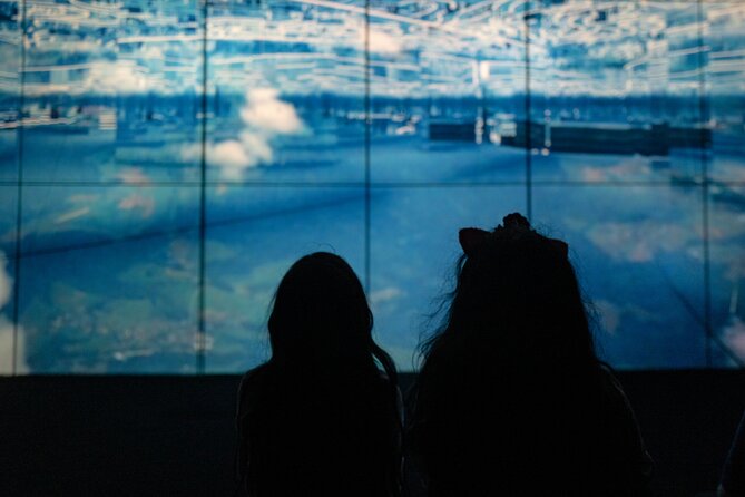 Miami: 'Superblue Miami' Immersive Art Experience Ticket - Massless Clouds: playful, but check the price
