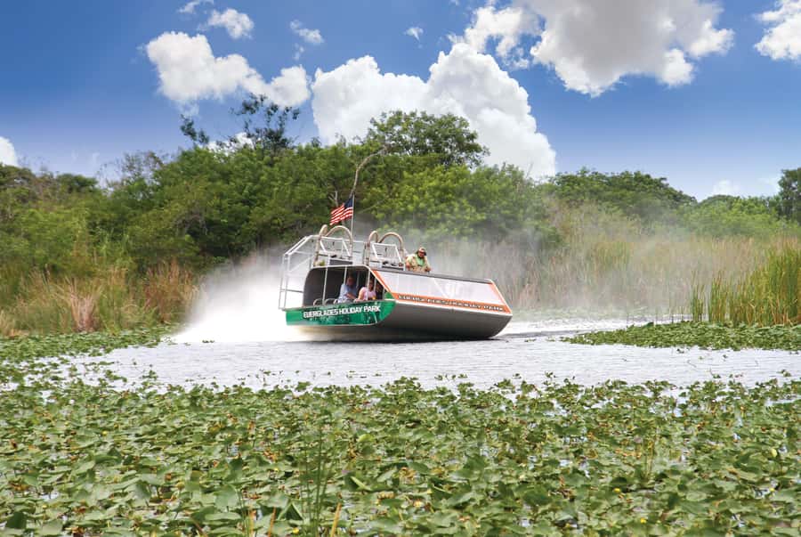 Miami: Wild Everglades Airboat Ride and Gator Encounters - What the wildlife sightings really add