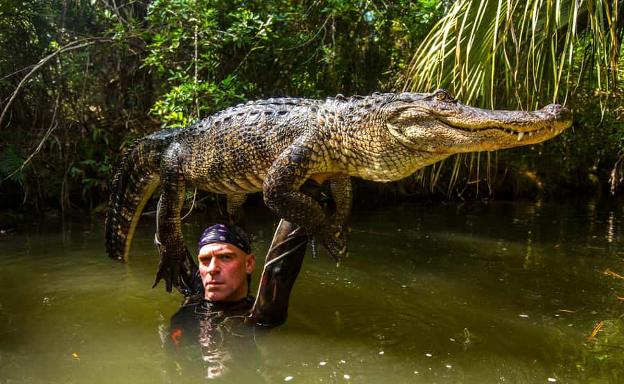 Miami: Wild Everglades Airboat Ride and Gator Encounters - Who will enjoy this trip most?
