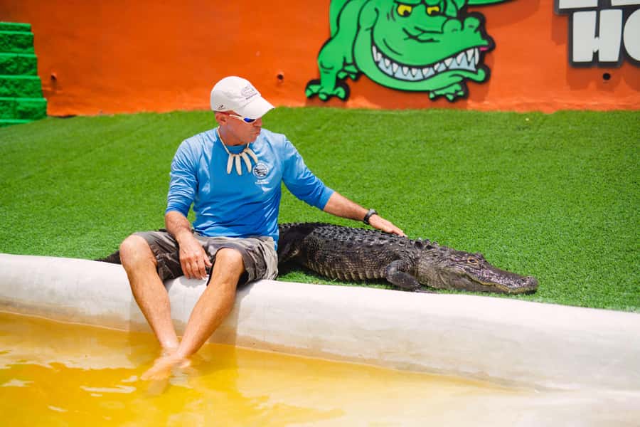 Miami: Wild Everglades Airboat Ride and Gator Encounters - The airboat ride at Everglades Holiday Park
