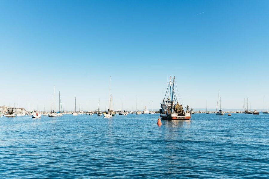 Monterey Bay: Whale Watching Tour - Is $75 a fair price?