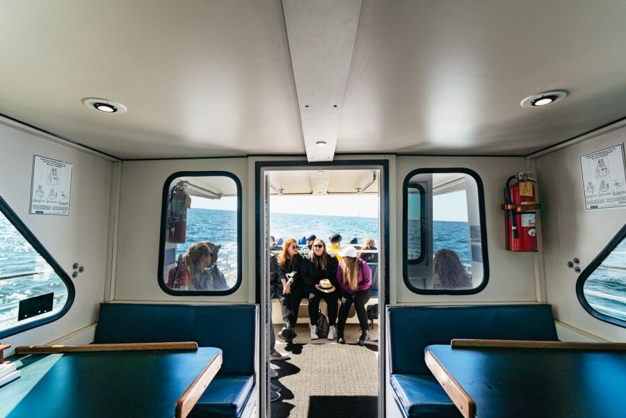 Monterey Bay: Whale Watching Tour - What changes in winter