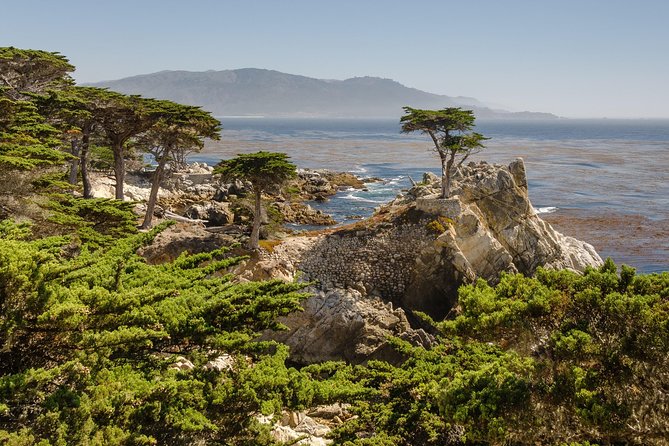 Monterey, Carmel and 17-Mile Drive: Full Day Tour from SF - Two hours in Monterey: choose your priority