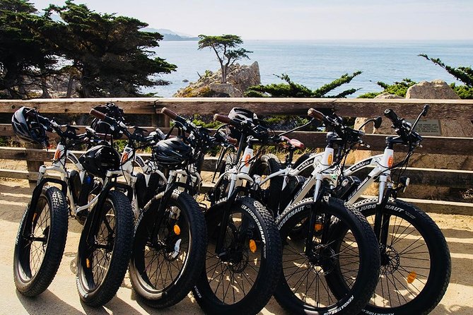Monterey's 17 Mile Drive Guided Electric Bike Tour, 3 hr - The first coastal miles: waves, beaches, and Pacific Grove