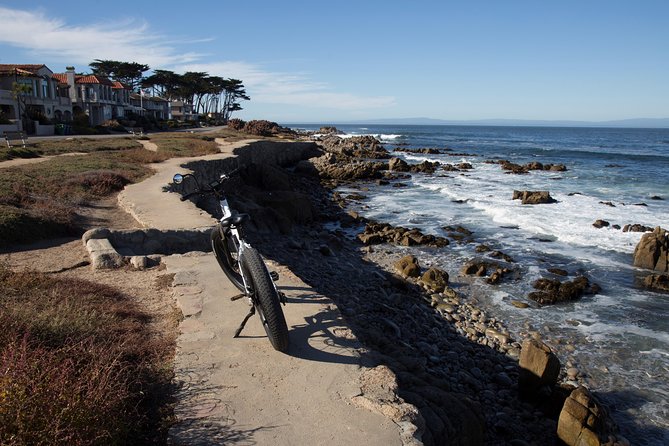 Monterey's 17 Mile Drive Guided Electric Bike Tour, 3 hr - Bird Rock, sea lions, and wildlife watching
