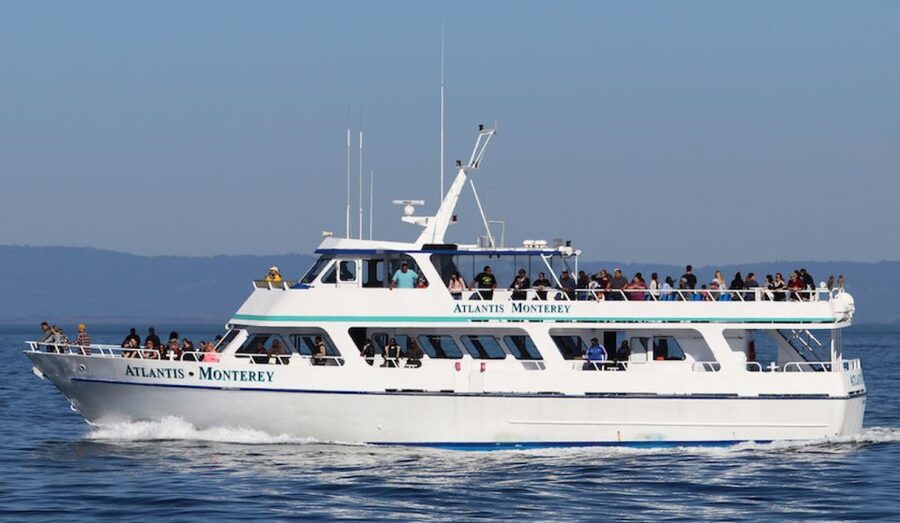 Monterey: Whale Watching Tour with A Marine Guide - Who will enjoy this cruise most?