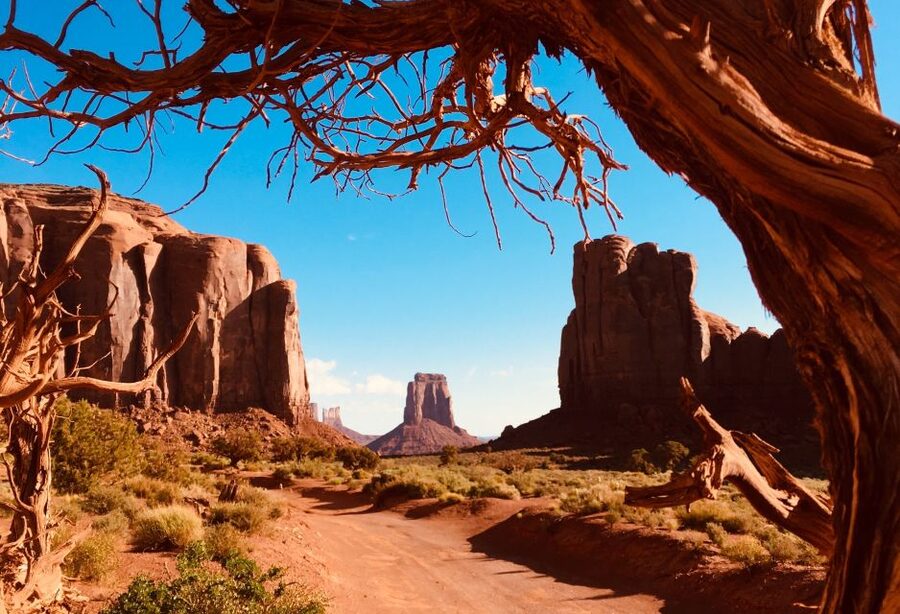 Monument Valley: Highlights Tour with Backcountry Access - Should you book Monument Valley Highlights with Backcountry Access?