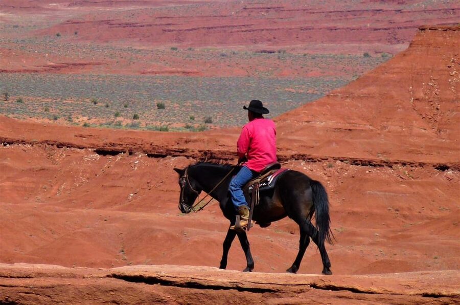 Monument Valley: Horseback Adventure Tour - Should you book the Monument Valley horseback ride?