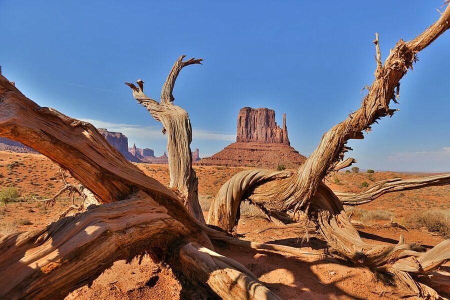 Monument Valley: Scenic 2.5-Hour Guided Tour - The guides are a major part of the value