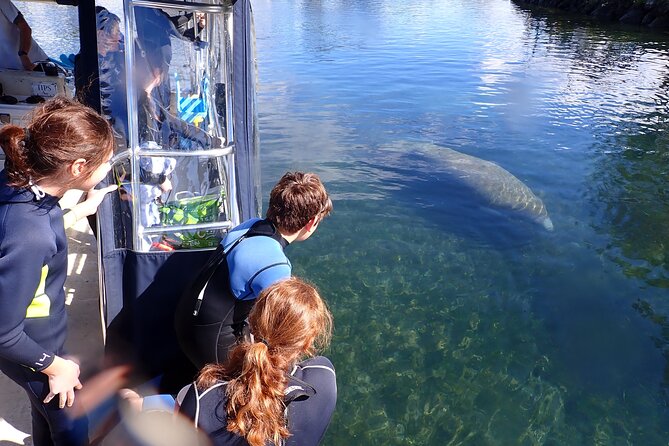 Most Popular 3hr Manatee Swim Tour + In-Water Guide! - Photos, water clarity, and the memory you take home