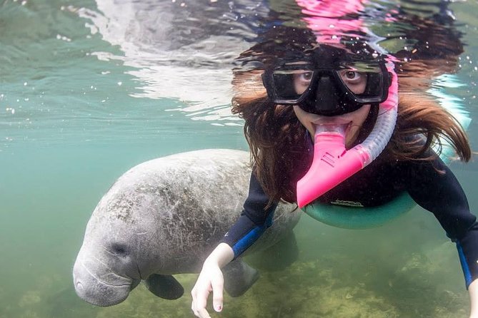 Most Popular 3hr Manatee Swim Tour + In-Water Guide! - Three Sisters Springs and the Crystal River refuge