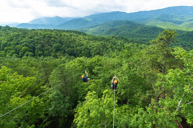 Mountaintop Zipline 2-Hours Activity - The rappel brings you back to the platform