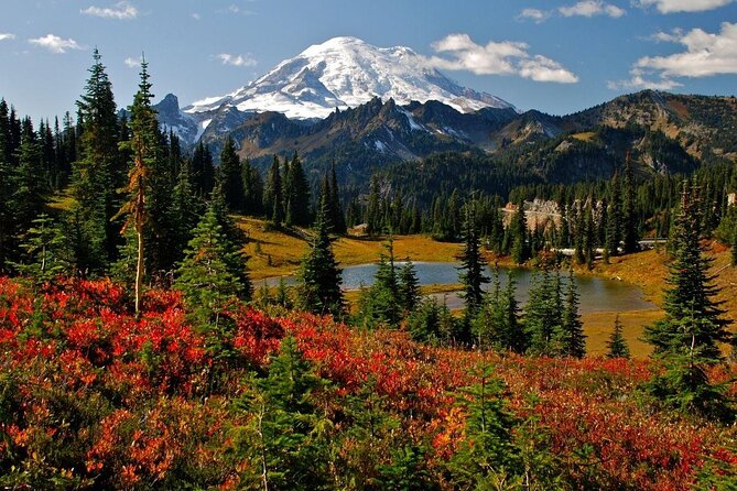 Mt. Rainier Day Tour from Seattle - Key points to know before booking