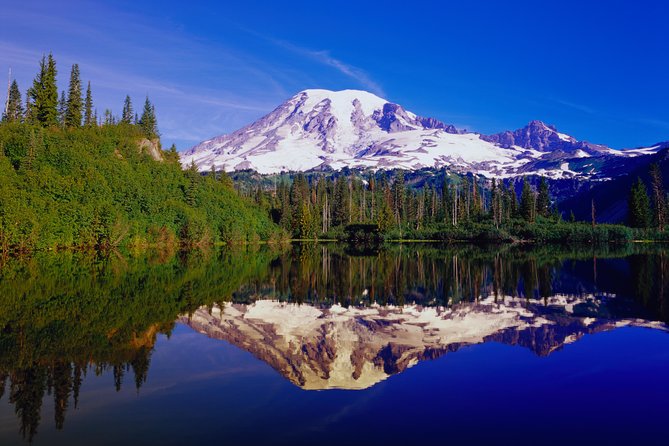 Mt. Rainier Day Tour from Seattle - Narada Falls and Christine Falls deliver quick rewards