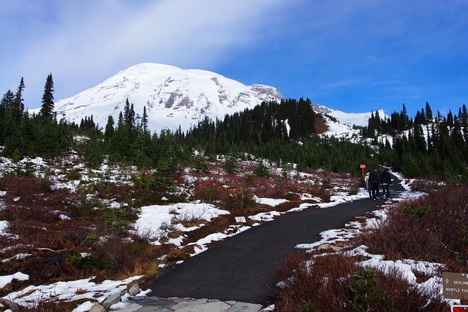 Mt. Rainier Day Tour from Seattle - Paradise is the high point of the day