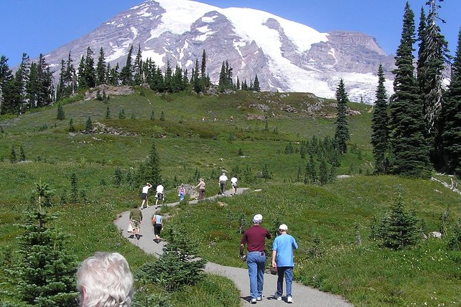 Mt. Rainier Day Tour from Seattle - Guides shape the experience