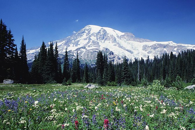 Mt. Rainier Day Tour from Seattle - Longmire gives the day some history