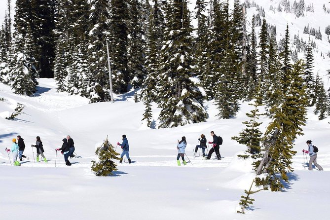 Mt. Rainier National Park Highlights Tour - Longmire gives the mountain a human story