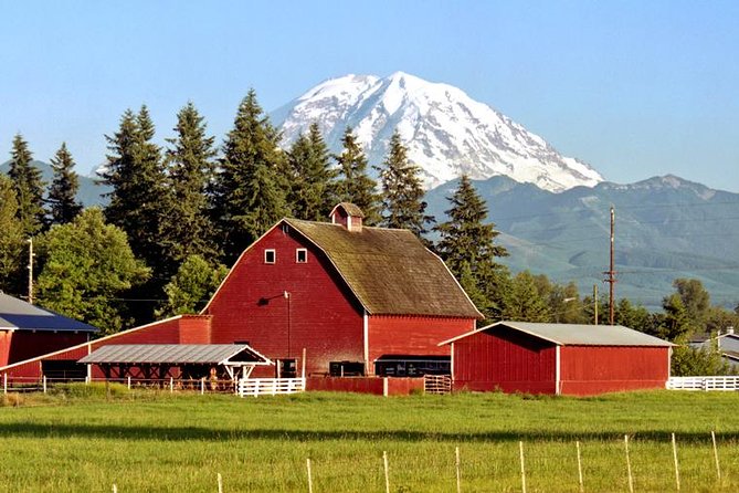 Mt. Rainier National Park Highlights Tour - Paradise is the main event, but weather has the final say