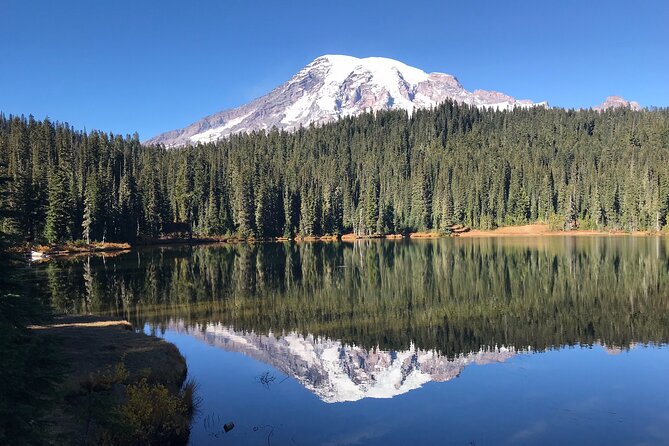 Mt. Rainier National Park Highlights Tour - The forest walks are short, but they improve the day